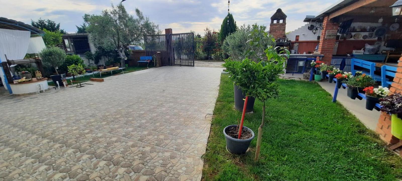 Vila Jone Golem  Εξωτερικό φωτογραφία